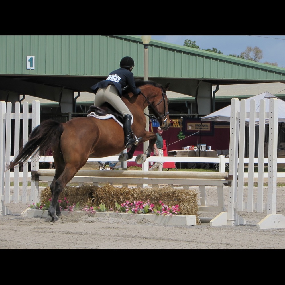 Meet your Posher, Brooke